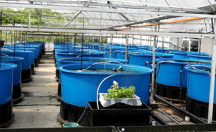 益樂塑業(yè)水產(chǎn)養(yǎng)殖方箱的特點(diǎn)